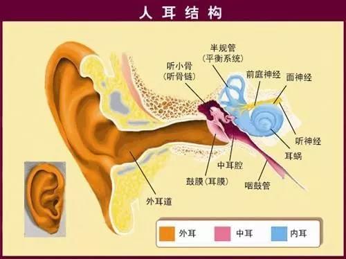 微信图片_20181116115514.jpg